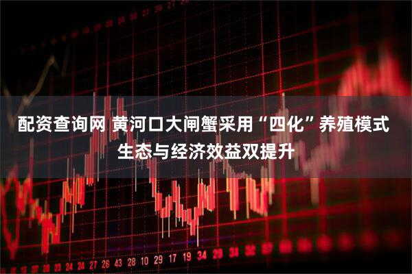 配资查询网 黄河口大闸蟹采用“四化”养殖模式 生态与经济效益双提升